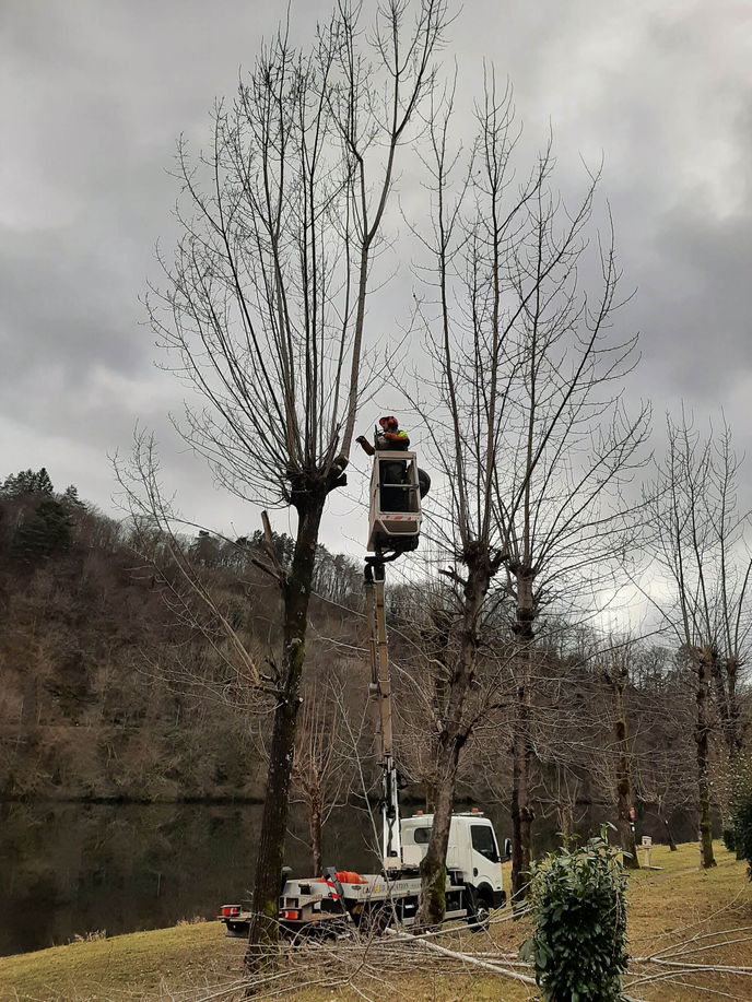 Travaux d'élagage en Corrèze