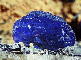 torbernite