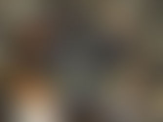 Les Âneries du Soulier à la fête des champignons