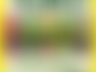 La saison des plantation est officiellement lancée chez ID ALIM !