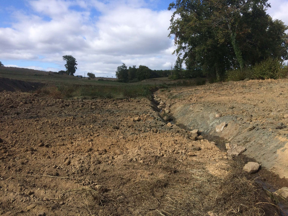 Création d'un ruisseau après la suppression d'un étang
