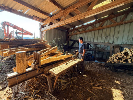 De la forêt à la clôture : La préparation et la vente de piquets en bois massif en Corrèze