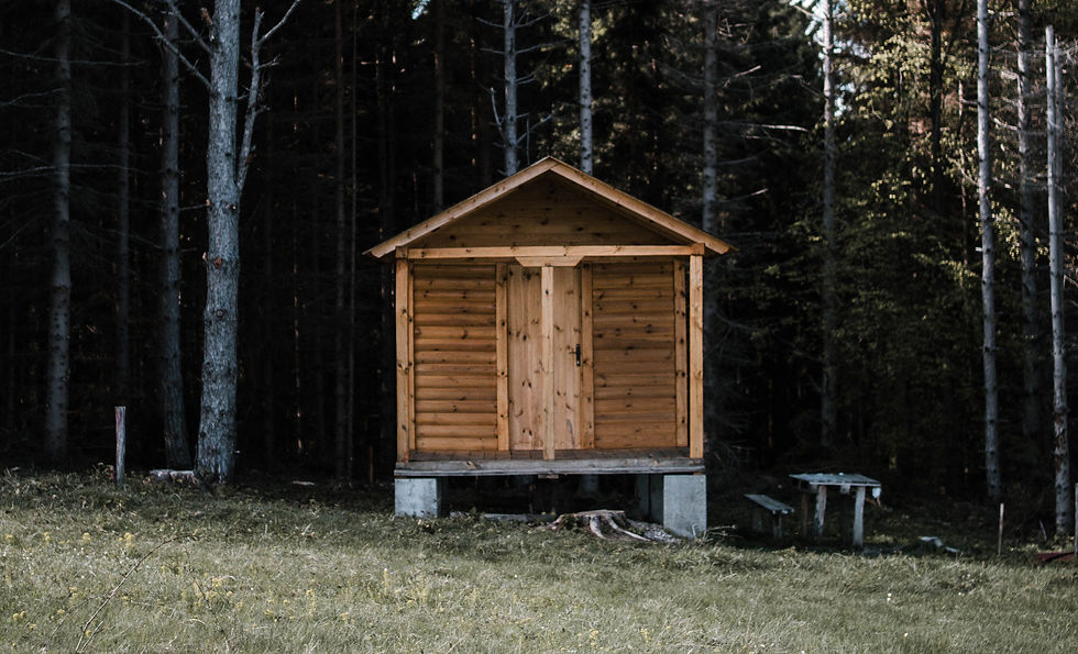 cabane-de-jardin-en-bois