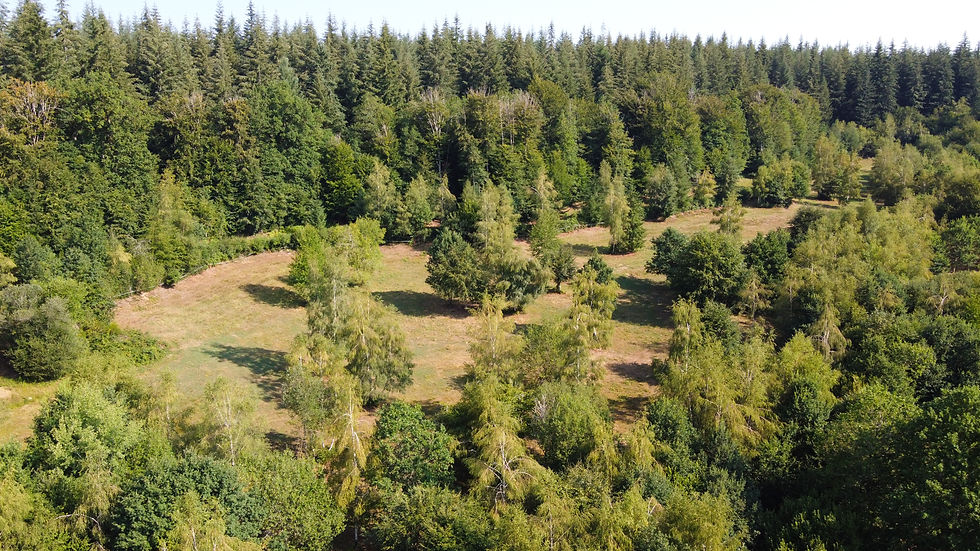terrain-de-cross-moutain-trail-les-ecuries-de-la-laubie-saint-pardoux-le-neuf-correze-19