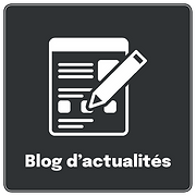 bouton-avec-tête-de-cheval