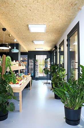 EXTENSION EPICERIE ALBUSSAC EN CORREZE - APRES 7.jpg