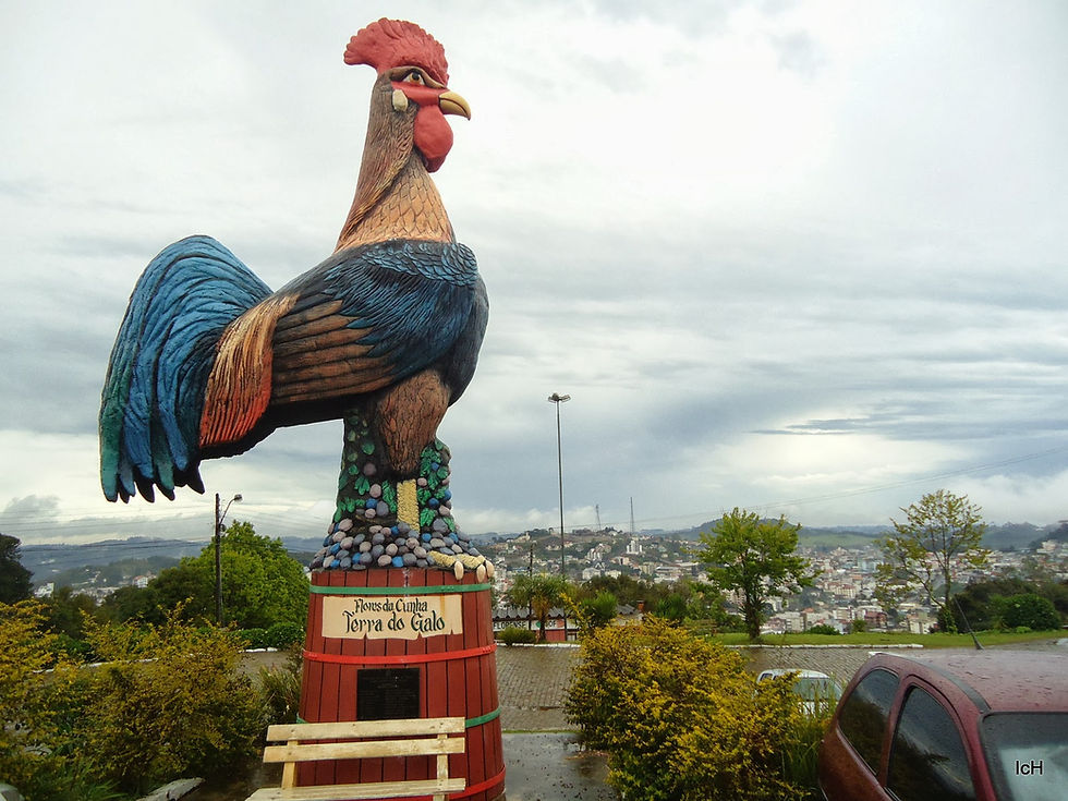 De volta à Terra do Galo