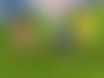 Enzo Maresca sends Kelechi Iheanacho advice after 'fantastic' Patson Daka goal-streak