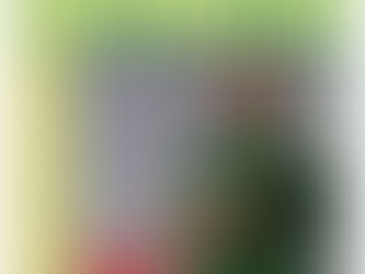 Government Owes Avram Grant for 10 Months in Salary and Bonuses