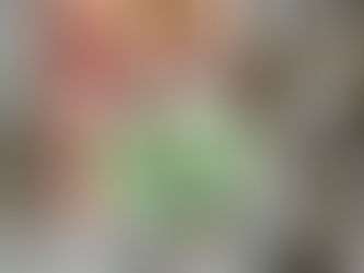 Workshops und Events