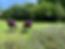 IMG_3608.HEIC