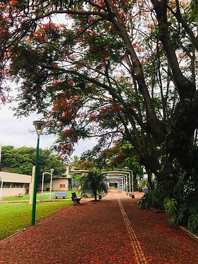 Unioeste (7).jpeg