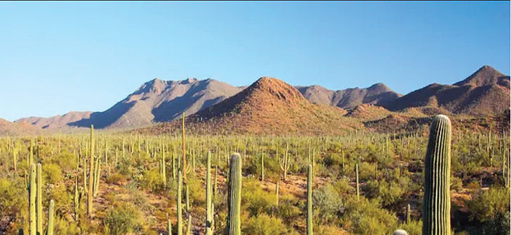 Las Vegas Desert Background_
