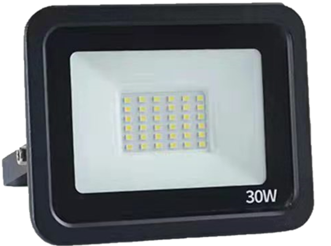 30W Floodlight