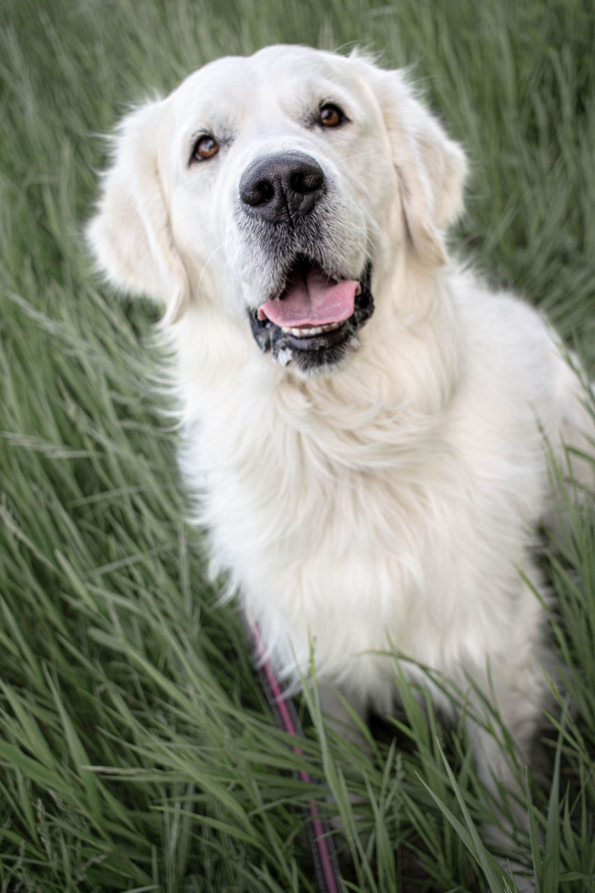 Tipper being handsome