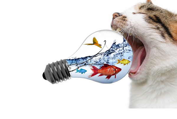 Keonavongsa-Goldfish.png