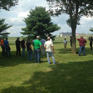 Group of people standing under trees.