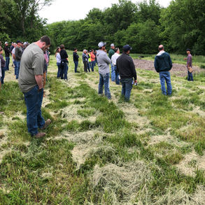 People in a field