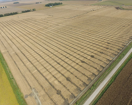 2016 IL Corn Field Lab