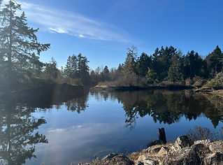Kingfishers Retreat

