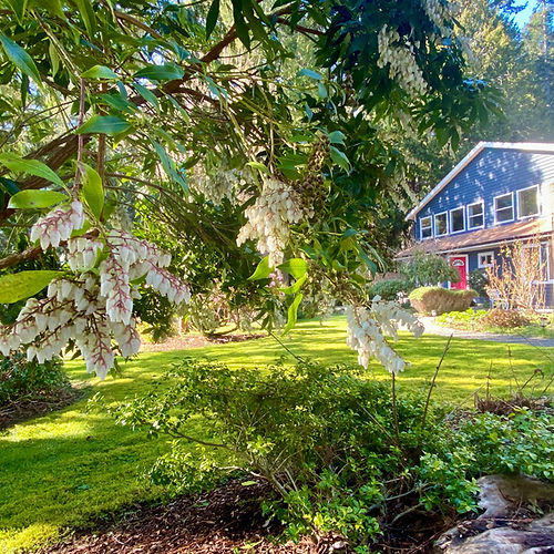 Ocean Wilderness Inn
