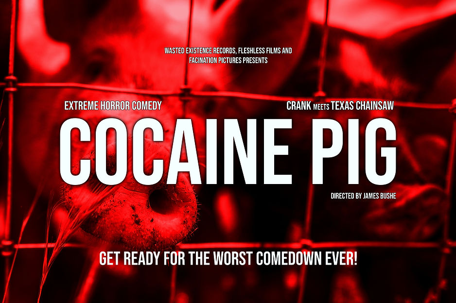 coke pig card main .jpg
