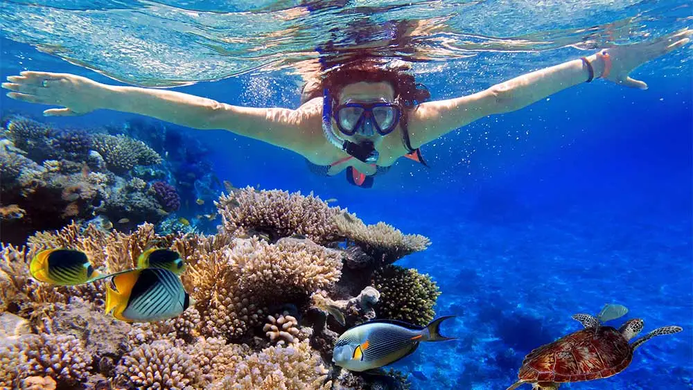 Lovina snorkeling