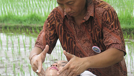 healing sessions bali