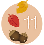 11月落ち葉