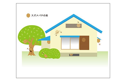 スズメバチの巣が作られ易い場所