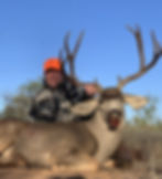 Desert Mule Deer