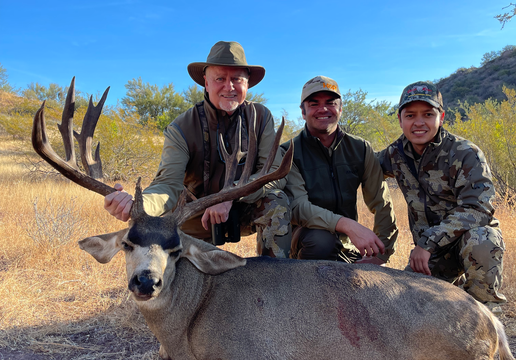 Mule Deer sonora mexico