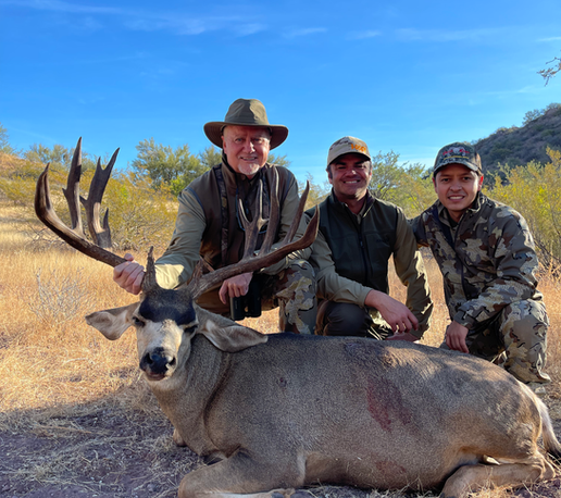 Mule Deer sonora mexico