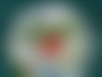 Security Challenges in Developing Countries: Focus on Asia