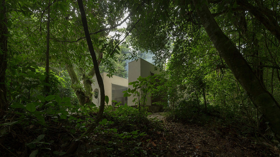 25---Mira_Casa_04---PEDRA---©-Federico-Cairoli.jpg