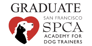 LOGO_ACADEMY.GIF