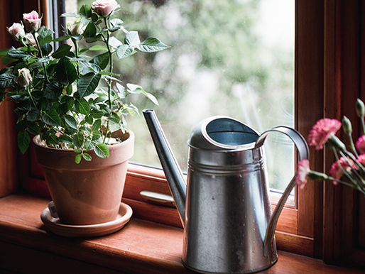 Is It a Good Time to Sell My House?