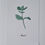 Thumbnail: Mint, handprinted watercolour botanical illustration, A5 Print