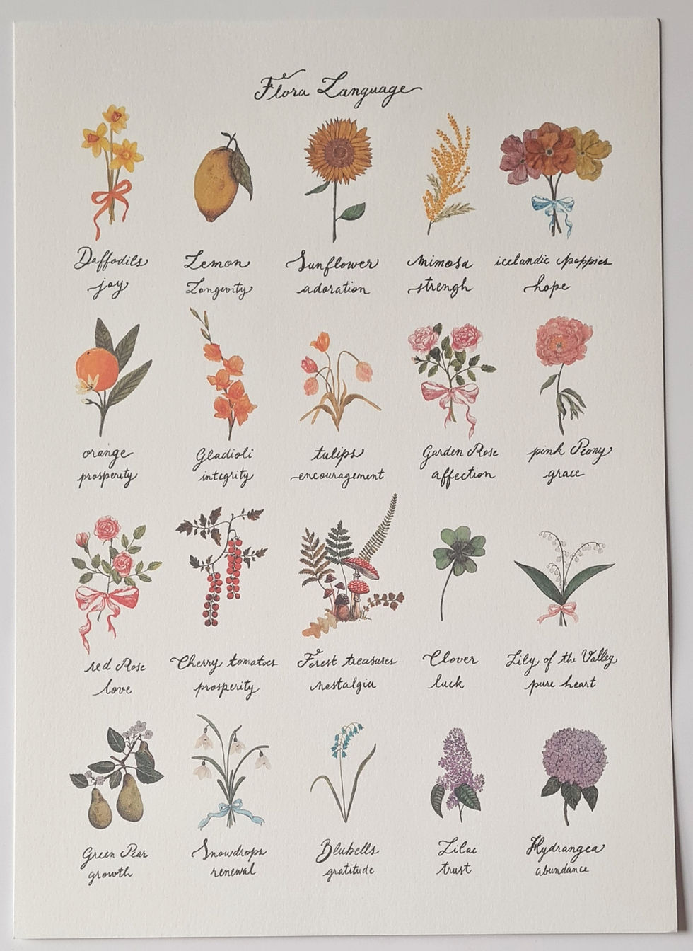 Thumbnail: Flora Language, watercolour botanical illustration, A4 Print