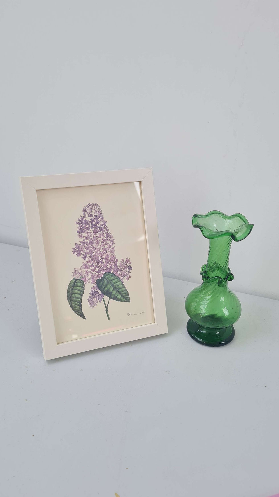 Thumbnail: Purple lilac flowers illustration, Print on canvas paper