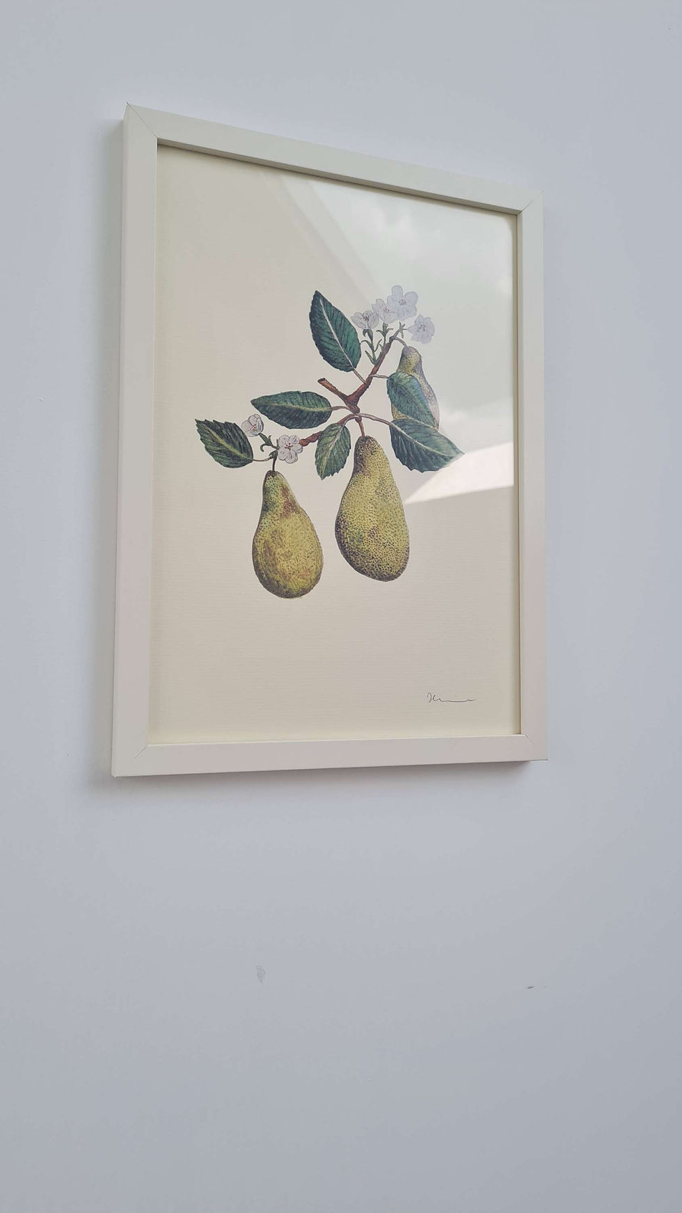 Thumbnail: Green Pear branch illustration A4 Print on canvas paper