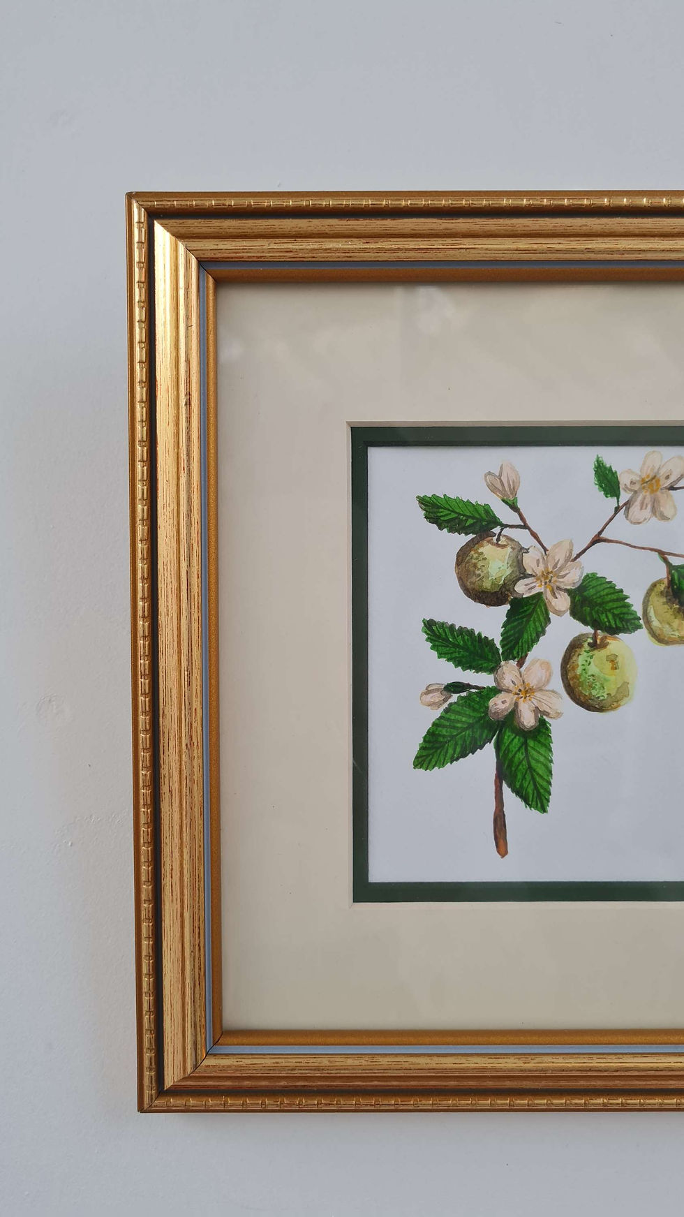 Thumbnail: Apple blossoms original watercolour painting in reclaimed golden frame 