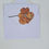 Thumbnail: Tangerine Orange Icelandic Poppy, A6 greeting card with envelope 