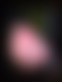 HIK - DOWN THE RIVER