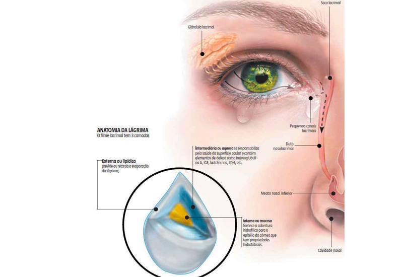 Trajeto da Lágrima: a lágrima é produzida pelas glândulas e depois é escoada pelo sistema canalicular, por isto a oclusão do ponto lacrimal pode ser muito útil nos casos mais sérios de olho seco.