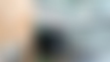 Conoce las oficinas de Evernote en California