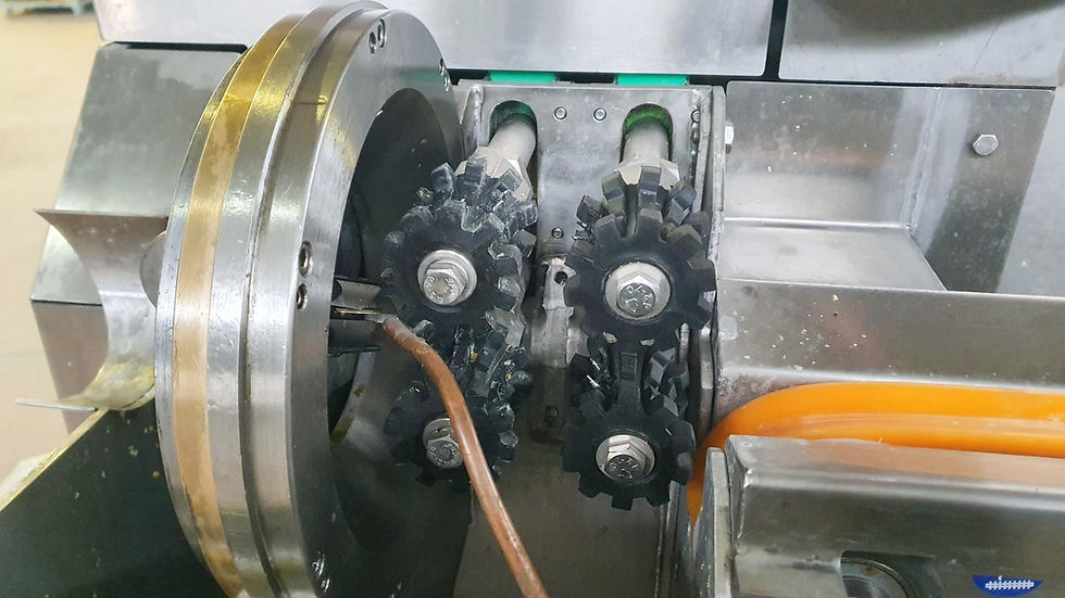 Interchangeable Excellence: Why Tabanli Corn Cutters are a Seamless Upgrade for US Processors