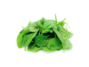 Fresh green spinach leaves, ready to be prepared and eaten. TABANLI FOOD PROCESSING