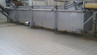 siyah havuç blanşörü