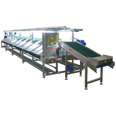 sorting & packaging line